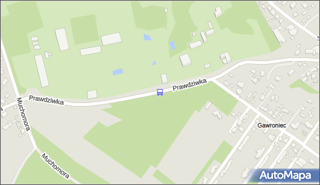 Przystanek Ogród Botaniczny 02. ZTM Warszawa - Warszawa (id 330502) na mapie Targeo