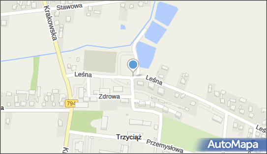 ABC, Osiedle Wrzosowe 1, Trzyciąż 32-353, numer telefonu