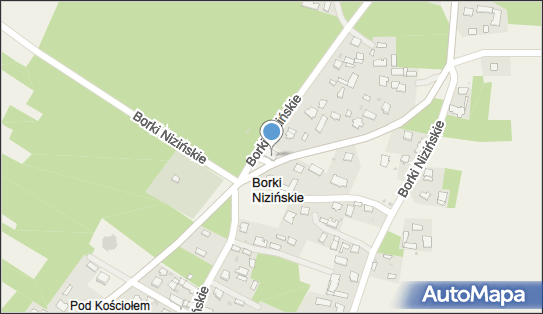 ABC, Borki Nizińskie 131, Borki Nizińskie 39-307, numer telefonu