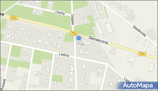 1230151447, Alfa-Rent, Agnieszka Tytkie 