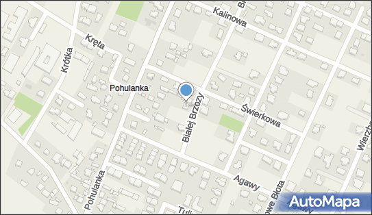 5842394249, Bogdan Nowopolski 