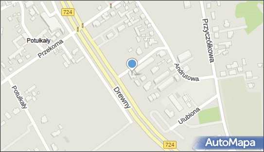 015767939, Polina w.i P.Boruccy 