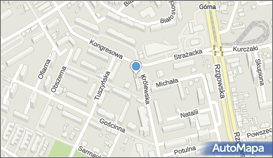470745026, Wynajem Nieruchomości Na Własny Rachunek Janicki Witold 