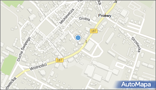 AED - Defibrylator, Wolności 21, Pniewy 62-045