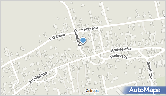 AED - Defibrylator, Ciesielska 4, Gliwice 44-151