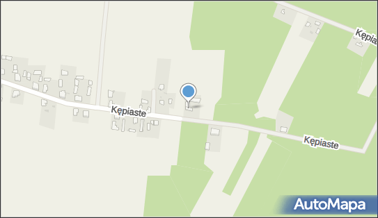 AED - Defibrylator, Kępiaste 42, Kępiaste 05-084, numer telefonu