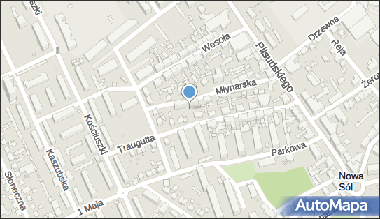 LWNS Sp. z o.o., Traugutta 12 B/12, Nowa Sól 67-100, numer telefonu