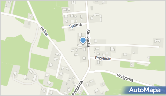 Allegro One Box Automaty, Strażacka 5, Kania Góra 95-100, godziny otwarcia