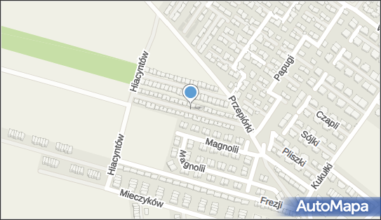 Allegro One Box Automaty, Dzwonków 4C, Nowa Wola 05-500, godziny otwarcia