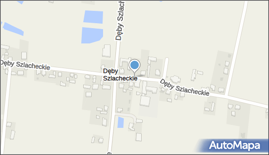 Allegro One Box Automaty, Dęby Szlacheckie 50, Dęby Szlacheckie 62-613, godziny otwarcia