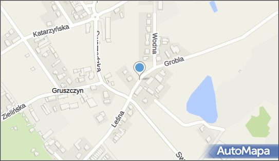 Allegro One Box Automaty, Plac Gruszczyński 1, Gruszczyn 62-006, godziny otwarcia