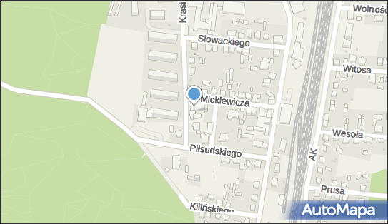 Allegro One Box Automaty, Krasińskiego 35, Gomunice 97-545, godziny otwarcia