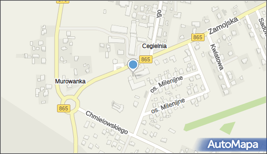 Allegro One Box Automaty, Zamojska 10, Szówsko 37-500, godziny otwarcia