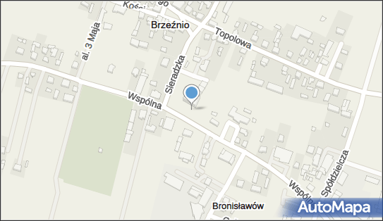 Allegro One Box Automaty, Wspólna 50, Brzeźnio 98-275, godziny otwarcia