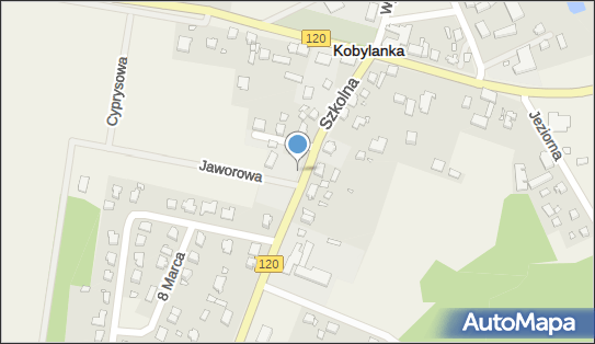 Allegro One Box Automaty, Szkolna 5G, Kobylanka 73-108, godziny otwarcia