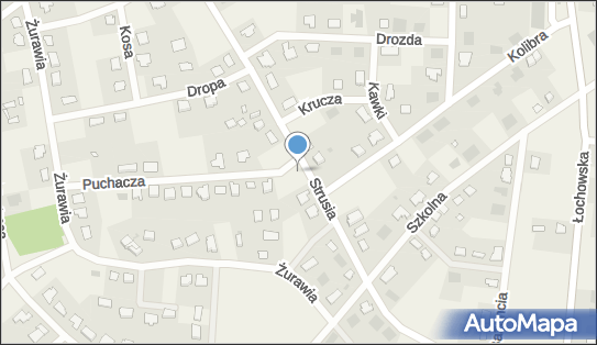 Allegro One Box Automaty, Strusia 25, Murowaniec 86-005, godziny otwarcia