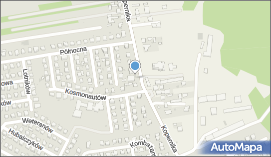 Allegro One Box Automaty, Mikołaja Kopernika 47, Lubartów 21-100, godziny otwarcia