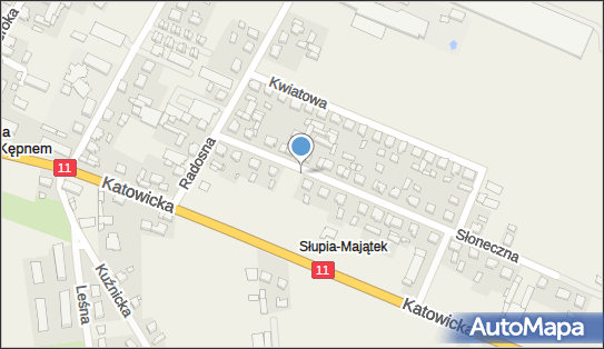 Allegro One Box Automaty, Słoneczna 8, Słupia Pod Kępnem 63-648, godziny otwarcia