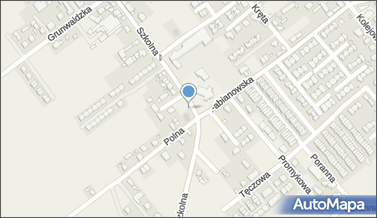 Allegro One Box Automaty, Polna 4, Plewiska 62-064, godziny otwarcia