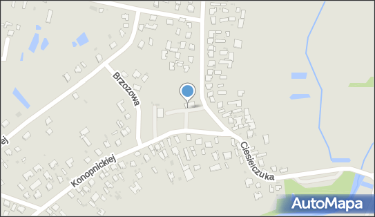 Allegro One Box Automaty, Grotthusów 1, Hrubieszów 22-500, godziny otwarcia