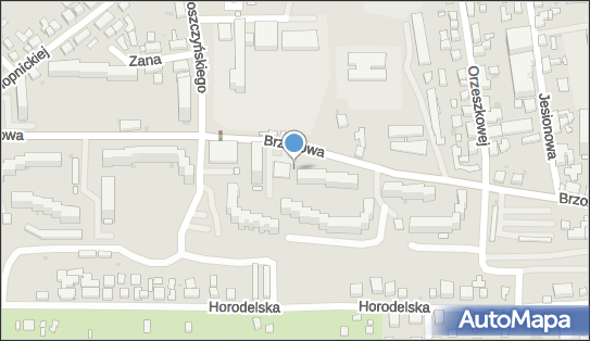 Allegro One Box Automaty, Brzozowa 19, Bydgoszcz 85-154, godziny otwarcia