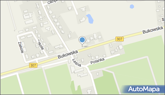 Allegro One Box Automaty, Bukowska 12, Sierosław 62-080, godziny otwarcia