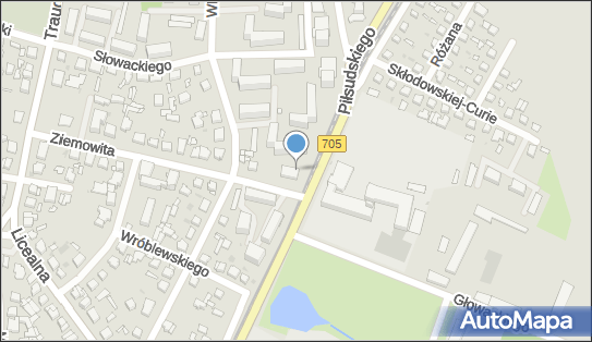 Allegro One Box Automaty, PIłsudskiego 26, Sochaczew 96-500, godziny otwarcia