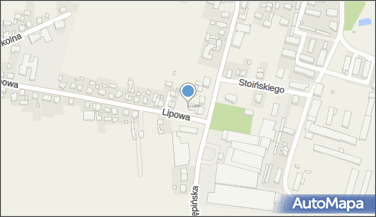 Allegro One Box Automaty, Kępińska 20, Laski 63-620, godziny otwarcia