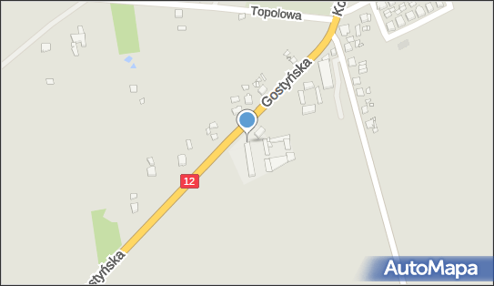 Allegro One Box Automaty, Gostyńska 2, Jaraczewo 63-233, godziny otwarcia