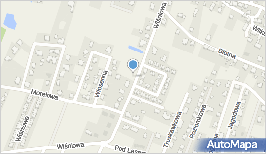 Allegro One Box Automaty, Wiśniowa 14, Wilkszyn 55-330, godziny otwarcia