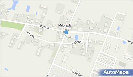 Allegro One Box Automaty, Żuławska 5, Miłoradz 82-213, godziny otwarcia