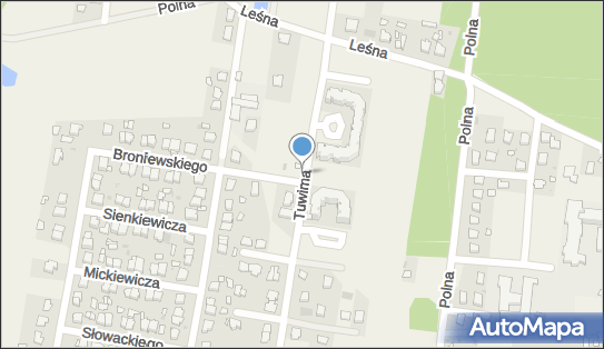 Allegro One Box Automaty, Tuwima 29, Leszno 05-084, godziny otwarcia