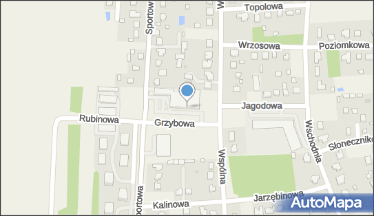 Allegro One Box Automaty, Grzybowa 1, Kleszczów 97-410, godziny otwarcia