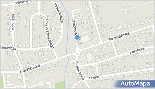 Allegro One Box Automaty, Poznańska 69, Opalenica 64-330, godziny otwarcia