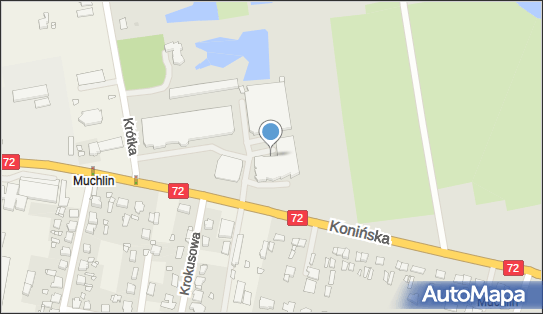 Allegro One Box Automaty, Konińska 24, Turek 62-700, godziny otwarcia