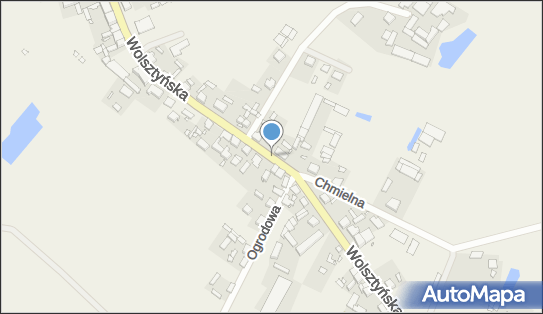 Allegro One Box Automaty, Wolsztyńska 21, Boruja Kościelna 64-300, godziny otwarcia