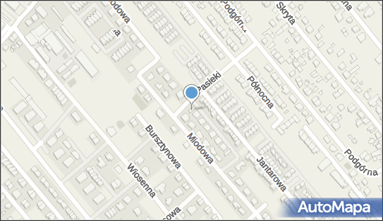 Allegro One Box Automaty, Pasieki 4, Plewiska 62-064, godziny otwarcia