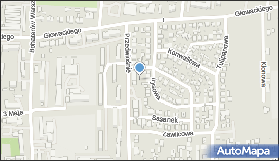 Allegro One Box Automaty, Przedwiośnie 2N, Brzeziny 95-060, godziny otwarcia