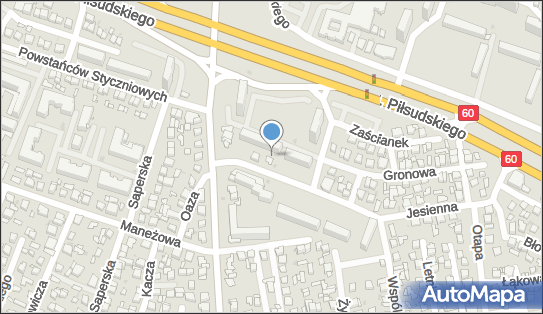 Allegro One Box Automaty, Jesienna 7A działka 275/7, Płock 09-407, godziny otwarcia