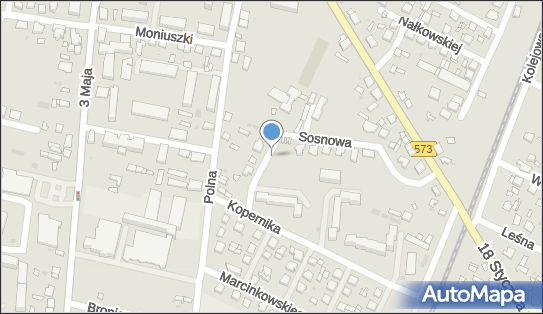 Allegro One Box Automaty, Sosnowa 15, Gostynin 09-500, godziny otwarcia