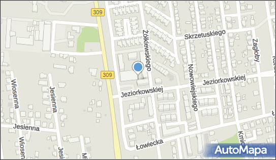 Allegro One Box Automaty, Barbary Jeziorkowskiej 1, Leszno 64-100, godziny otwarcia