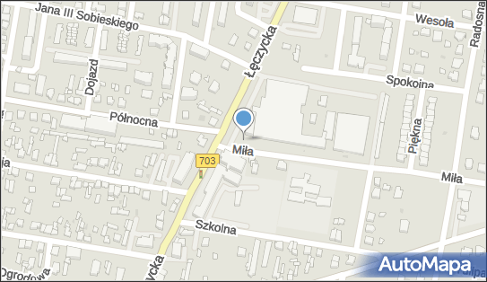 Allegro One Box Automaty, Łęczycka 17/19, Poddębice 99-200, godziny otwarcia