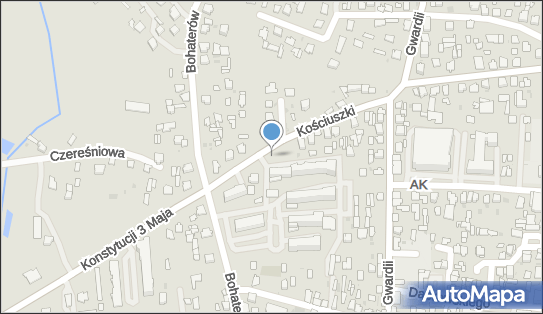 Allegro One Box Automaty, Kościuszki 65, Radzyń Podlaski 21-300, godziny otwarcia