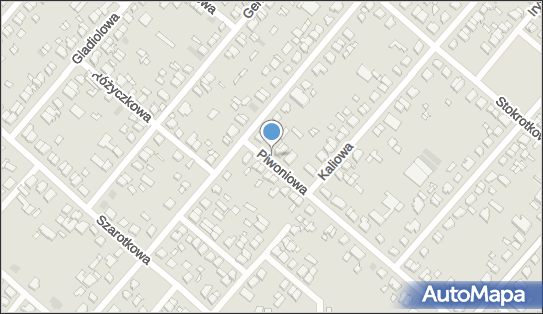 Allegro One Box Automaty, Piwoniowa 28, Poznań 60-175, godziny otwarcia