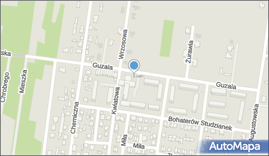 Allegro One Box Automaty, Adasia Guzala 4, Pionki 26-670, godziny otwarcia