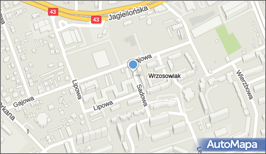 Allegro One Box Automaty, Gajowa 17, Częstochowa 42-229, godziny otwarcia