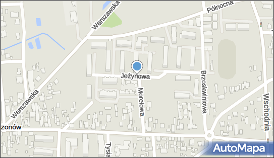 Allegro One Box Automaty, Morelowa 2, Mszczonów 96-320, godziny otwarcia