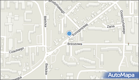 Allegro One Box Automaty, Brzozowa 86, Bydgoszcz 85-154, godziny otwarcia