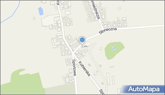 Allegro One Box Automaty, Słoneczna 2, Kobierno 63-714, godziny otwarcia