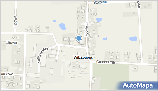 Allegro One Box Automaty, Kasztanowa 2, Wilczogóra 62-550, godziny otwarcia